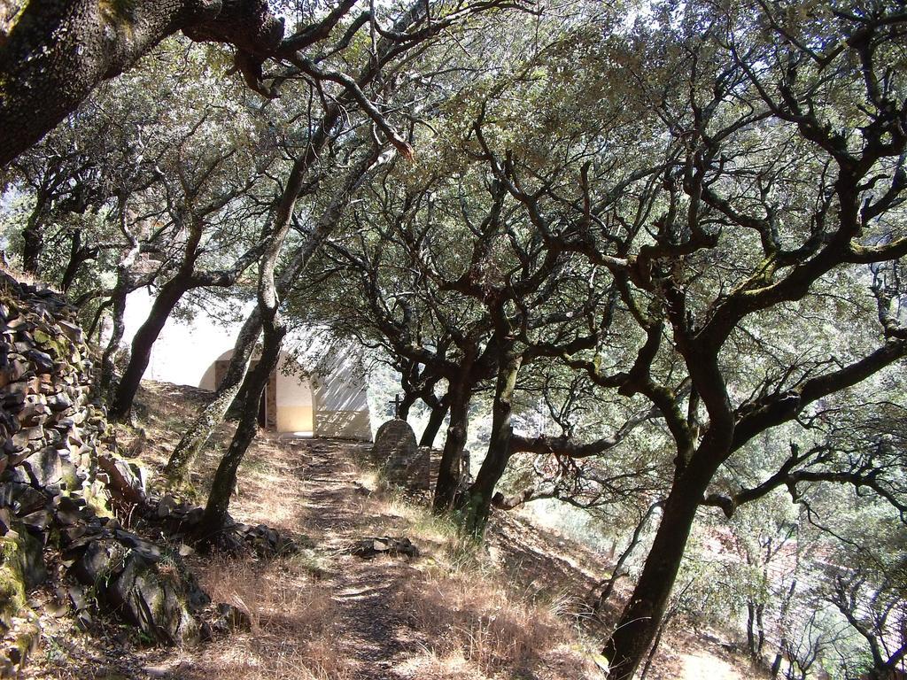 Casa di campagna Casitas Del Bodegon El Gasco